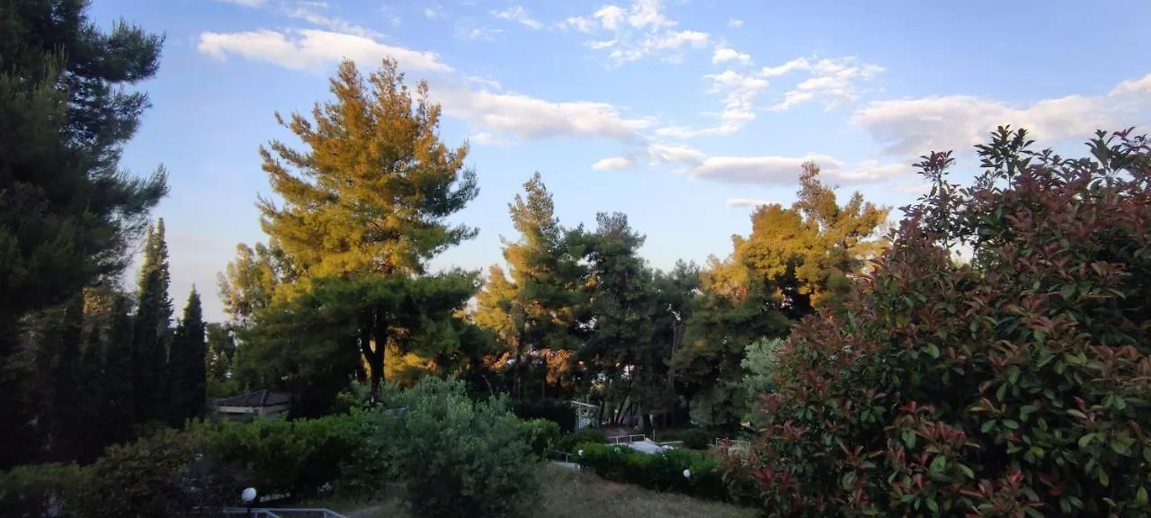 Βίλα Philip'S Guest House! Παλιούρι